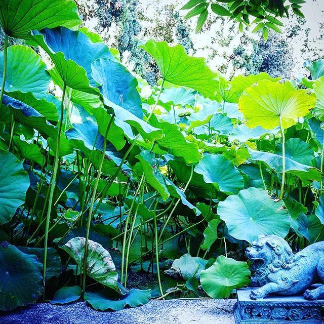 Della Pergola Relais Et Chateaux 3* Alassio