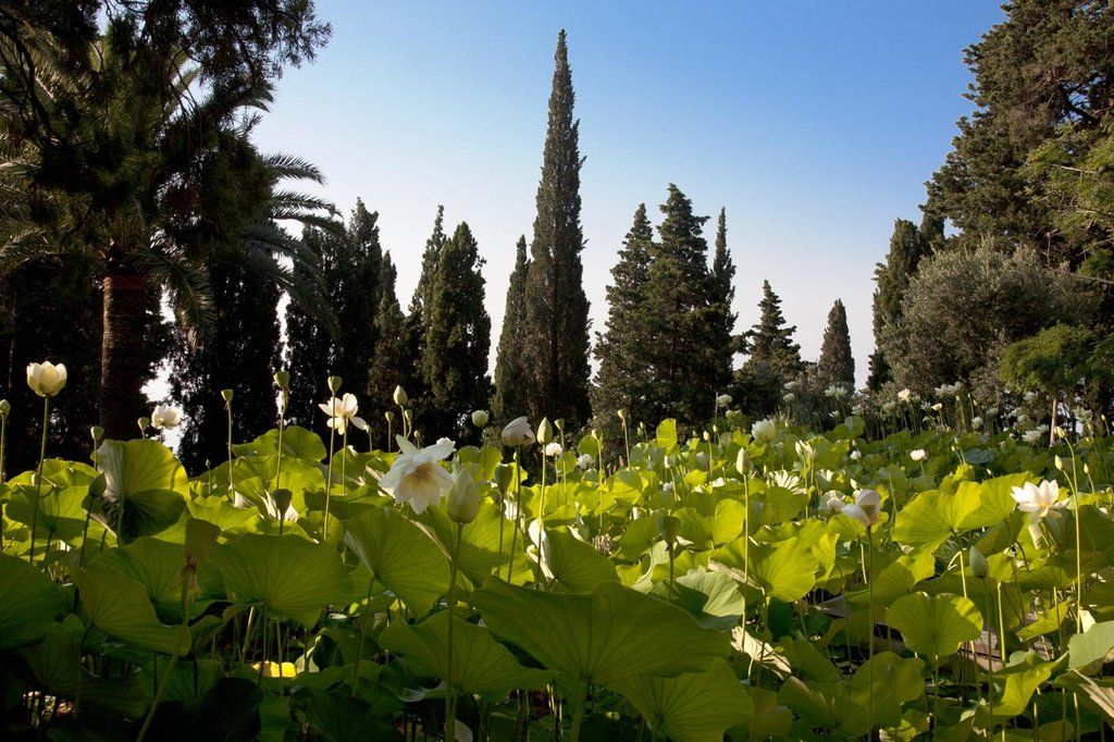 Della Pergola Relais Et Chateaux Hotel 3*